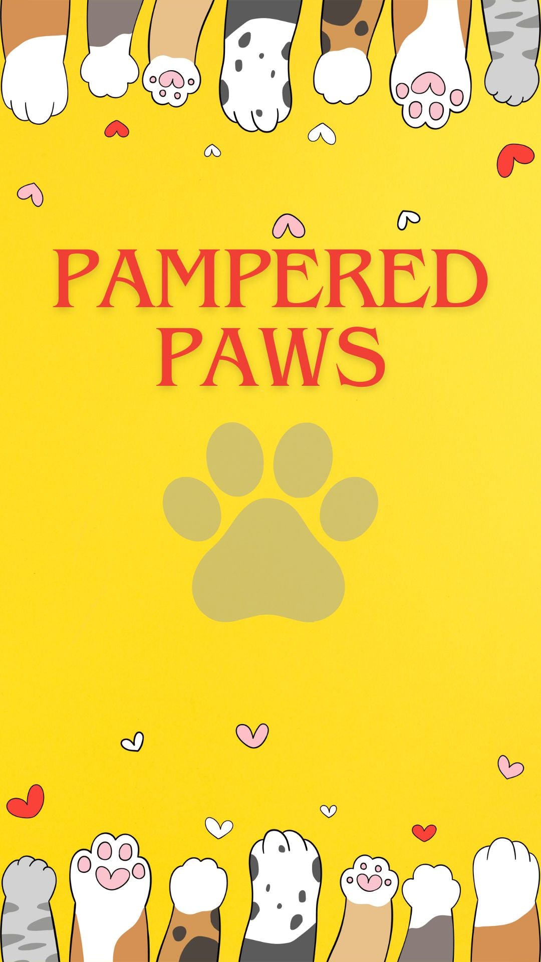 Pampered Paws: A Guide to Dog Grooming Bliss